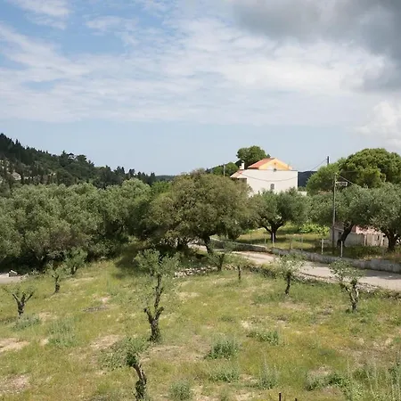 Evaggelatos リクスリオン