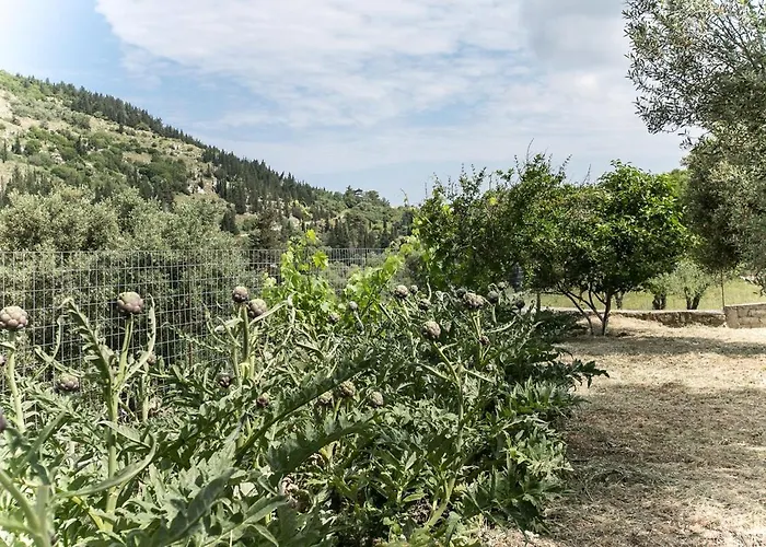 Evaggelatos * Ληξούρι